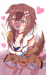 Rule 34 | 1girl, @ @, animal ears, blush, bone hair ornament, breasts, brown eyes, brown hair, cleavage, dog ears, dog girl, dog tail, drooling, fang, female focus, hair ornament, heart, heart-shaped pupils, highres, hololive, inugami korone, large breasts, off shoulder, open mouth, penis awe, penis shadow, rareku, solo focus, symbol-shaped pupils, tail, tail wagging, virtual youtuber