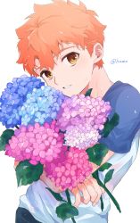 Rule 34 | 1boy, aged down, blue flower, casual, child, emiya shirou, fate/stay night, fate (series), flower, highres, holding, holding flower, kamo 0707, looking at viewer, male focus, orange hair, parted lips, pink flower, shirt, short hair, short sleeves, solo, upper body, white background