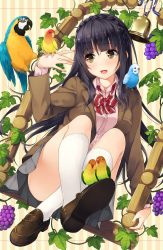 Rule 34 | 1girl, :d, animal, animal on shoulder, bell, bird, bird on hand, bird on leg, bird on shoulder, black hair, blazer, blush, bow, bowtie, braid, brown eyes, convenient leg, dress shirt, food, fruit, grapes, grapevine, jacket, kneehighs, loafers, long hair, long sleeves, open clothes, open jacket, open mouth, original, parrot, plant, pleated skirt, school uniform, shirt, shoes, sitting, skirt, smile, socks, solo, striped background, striped bow, striped bowtie, striped clothes, striped neckwear, swing, unasaka ryou, vertical stripes, very long hair, vines, white socks, wing collar
