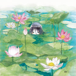 Rule 34 | 1girl, black hair, blue eyes, flower, lily pad, long hair, lotus, moekon, original, partially submerged, solo, water