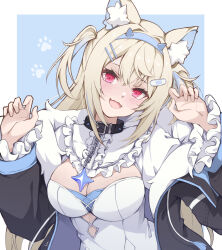 Rule 34 | 1girl, :3, :d, absurdres, animal ear fluff, animal ears, black collar, black jacket, blonde hair, blue hair, breasts, collar, dog ears, dog girl, dress, fur-trimmed jacket, fur trim, fuwawa abyssgard, fuwawa abyssgard (1st costume), hair ornament, hairpin, highres, hitozche, hololive, hololive english, jacket, large breasts, long hair, looking at viewer, multicolored hair, open mouth, pink eyes, smile, solo, spiked collar, spikes, streaked hair, virtual youtuber, white dress