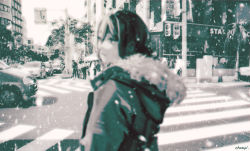 Rule 34 | 1girl, blurry, blurry foreground, building, car, chainsaw man, champi, fur collar, greyscale, hair between eyes, highres, hood, hoodie, jacket, looking to the side, monochrome, motor vehicle, muted color, palm tree, reze (chainsaw man), road, snowing, solo, starbucks, street, tree