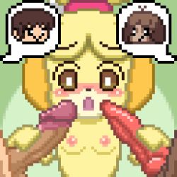 Rule 34 | 1girl, 2boys, animal crossing, animal ears, animal penis, animated, animated gif, blush, breasts, brother and sister, digby (animal crossing), dog ears, dog penis, erection, fellatio, furry, hetero, incest, isabelle (animal crossing), knotted penis, lowres, multiple boys, nintendo, nose blush, oral, peach (pixiv37634498), penis, penis grab, pixel art, saliva, siblings, small breasts, testicles, topknot, uncensored, upper body, villager (animal crossing)