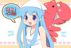 Rule 34 | blue eyes, blue hair, dress, hat, ikamusume, katakuriri, long hair, shinryaku! ikamusume, shrimp, solo, tentacle hair