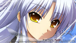 Rule 34 | 10s, angel beats!, blue hair, highres, long hair, official art, tagme, tenshi (angel beats!), yellow eyes
