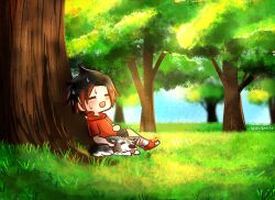 Rule 34 | 1girl, absurdres, ag nonsuch, against tree, black hair, black shorts, blue sky, closed eyes, commentary, dog, grass, highres, hood, hoodie, multicolored hair, red hair, red hoodie, ruby rose, rwby, shorts, signature, sky, streaked hair, sweat, tree, two-tone hair