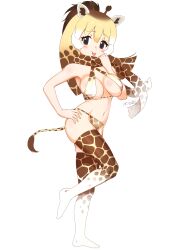 Rule 34 | 1girl, :p, adapted costume, animal ears, animal print, bare arms, bare shoulders, bikini, black eyes, blonde hair, blush, breasts, brown hair, commentary, from side, full body, giraffe ears, giraffe girl, giraffe horns, giraffe print, hand on own hip, highres, horns, kemono friends, large breasts, looking at viewer, masuyama ryou, multicolored hair, navel, no shoes, print bikini, print scarf, print thighhighs, reticulated giraffe (kemono friends), scarf, simple background, skindentation, smile, solo, standing, standing on one leg, swimsuit, thighhighs, tongue, tongue out, white background, white hair