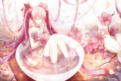 Rule 34 | 1girl, absurdly long hair, bird, cherry blossoms, closed eyes, cup, dress, flower, food, hair flower, hair ornament, hatsune miku, highres, in food, long hair, mini person, minigirl, partially submerged, phino, pink hair, sakura miku, sitting, solo, strapless, strapless dress, tea, teacup, twintails, very long hair, vocaloid