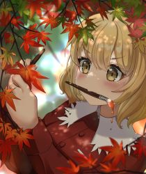 Rule 34 | 1girl, aki shizuha, autumn leaves, blonde hair, blurry, blurry background, blush, collared shirt, commentary request, highres, holding, holding brush, holding leaf, leaf, long sleeves, maple leaf, medium hair, paintbrush, painting (action), red shirt, shirt, solo, sweatdrop, touhou, tree, upper body, wheat retzel, yellow eyes
