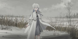 Rule 34 | 1girl, absurdres, black necktie, blue eyes, chihuri, closed mouth, collared shirt, commentary request, day, ende (chihuri), grey hair, grey skirt, grey vest, hair between eyes, highres, jacket, long hair, long sleeves, necktie, open clothes, open jacket, original, outdoors, overcast, puffy long sleeves, puffy sleeves, shirt, skirt, sky, smile, snow, solo, standing, very long hair, vest, white jacket, white shirt