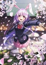 Rule 34 | 1girl, :3, :d, animal, animal ears, black socks, blush, bow, branch, brown footwear, building, cardigan, cherry blossoms, collared shirt, dappled sunlight, from above, grass, jacket, kneehighs, loafers, long hair, long sleeves, looking at viewer, looking up, open hand, open mouth, outdoors, outstretched arms, petals, pink eyes, pink skirt, porch, purple hair, rabbit, rabbit ears, reisen udongein inaba, shirt, shoes, skirt, sleeves past wrists, smile, socks, solo, stone, sunlight, sweater jacket, teeth, tongue, touhou, unowen, very long hair