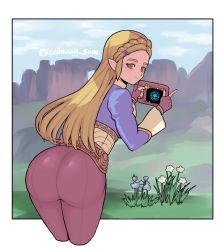 Rule 34 | 1girl, ass, black pants, blonde hair, blue flower, braid, brown gloves, cloud, cloudy sky, cropped legs, crown braid, fingerless gloves, flower, from behind, gloves, grass, green eyes, hair ornament, hairclip, highres, holding, index finger raised, long hair, long sleeves, looking at viewer, nintendo, outdoors, pants, pointy ears, princess zelda, sky, smile, solo, subway sum, the legend of zelda, the legend of zelda: breath of the wild, white flower