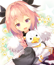 Rule 34 | 1boy, androgynous, astolfo (fate), bird, black bow, bow, braid, child, fangs, fate/apocrypha, fate (series), hair ribbon, holding, holding stuffed toy, male focus, multicolored hair, nanohana kohina, open mouth, pink hair, purple eyes, ribbon, single braid, smile, solo, streaked hair, stuffed toy, trap