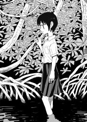 Rule 34 | 1girl, aremoyou, branch, commentary request, dress shirt, expressionless, foliage, from side, greyscale, hand up, highres, jitome, looking ahead, mangrove, monochrome, original, outdoors, plant, pleated skirt, profile, screentones, shirt, short hair, short sleeves, skirt, solo, vines, wading, walking, water
