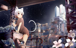 Rule 34 | 1girl, animal ears, backpack, bad id, bad pixiv id, bag, blush, bottle, brown dress, building, can, cat ears, cat tail, collarbone, commentary request, dress, flower, highres, holding, holding can, house, minato nao, night, original, parted lips, railing, red eyes, short hair, short sleeves, sign, skyscraper, solo, stairs, standing, star (sky), stuffed animal, stuffed rabbit, stuffed toy, tail, torn clothes, torn dress, trash bag, white hair