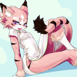 Rule 34 | 1girl, :3, animal ears, blue eyes, breasts, cat, cat ears, cat tail, chinese clothes, fang, furry, furry female, mizuki kotora, nipples, no panties, open mouth, original, pink hair, purple eyes, small breasts, solo, tail, tiger