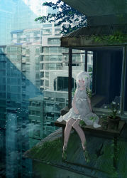 Rule 34 | 1girl, albino, bad id, bad pixiv id, bird, cityscape, dress, flying sweatdrops, grass, izumi sai, moss, original, overgrown, pigeon, plant, potted plant, red eyes, ruins, scenery, silver hair, sitting, solo, sundress, vines, water, waterfall, white dress
