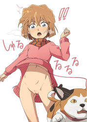 Rule 34 | 1girl, blue eyes, blush, bottomless, breath, brown hair, cat, cleft of venus, eringiumemaru, female focus, haibara ai, meitantei conan, navel, open mouth, pussy, scarf, short hair, simple background, solo, surprised, sweater, thighs, translation request, uncensored, white background