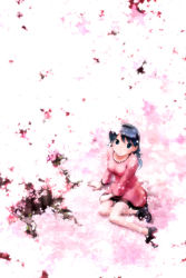 Rule 34 | blue hair, cherry blossoms, dress, green eyes, hairband, highres, ikeda jun (mizutamari), legs, long hair, original, petals, sitting, smile, solo