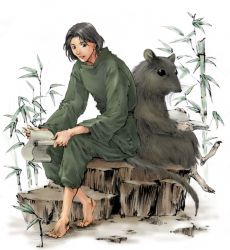 Rule 34 | 1boy, alternate form, animal, bamboo, bamboo forest, barefoot, book, changpao, chinese clothes, dual persona, endou saya (artist), forest, green pants, grey hair, holding, holding book, holding scroll, juuni kokuki, long sleeves, looking at viewer, male focus, mouse (animal), nature, open book, pants, rakushun (juuni kokuki), sash, scroll, short hair, sitting, smile, tree stump, white background