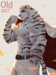 Rule 34 | 1boy, abs, absurdres, animal ears, arknights, backlighting, bara, belt, biceps, bulge, cowboy shot, from side, furry, furry male, hand in pocket, highres, holding, holding clothes, holding jacket, jacket, unworn jacket, large pectorals, looking at viewer, male focus, mountain (arknights), muscular, muscular male, navel, nipples, pants, pectorals, petals, profile, scar, scar across eye, scar on arm, scar on face, shan yao jun, short hair, solo, stomach, tail, thick eyebrows, tiger boy, tiger ears, tiger tail, topless male, veins, white fur, white hair, white jacket, white pants