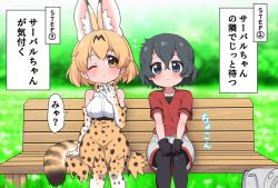 Rule 34 | 2girls, animal ears, bare shoulders, bench, black hair, black legwear, blonde hair, blouse, blue eyes, blush, bow, bowtie, commentary request, elbow gloves, extra ears, gloves, grass, hands on lap, high-waist skirt, kaban (kemono friends), kemono friends, multiple girls, one eye closed, pantyhose, print gloves, print legwear, print skirt, ransusan, red shirt, serval (kemono friends), serval print, serval tail, shirt, short hair, short sleeves, shorts, sitting, skirt, sleeveless, t-shirt, tail, thighhighs, traditional bowtie, translation request, white shirt, yellow eyes