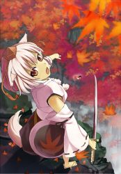 Rule 34 | 2girls, animal ears, autumn, autumn leaves, bad id, bad pixiv id, detached sleeves, fang, female focus, from above, from behind, geta, hakurei reimu, hat, hidebo, inubashiri momiji, japanese clothes, leaf, looking back, maple leaf, miko, multiple girls, pointing, scenery, shield, short hair, silver hair, solo focus, sword, tail, tengu-geta, tokin hat, touhou, weapon, wolf ears, wolf tail