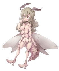 Rule 34 | 1girl, arthropod girl, breasts, extra breasts, female focus, frfr, long hair, nipples, original, simple background, solo, white background, wings