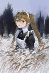 Rule 34 | 1girl, :p, apron, black shirt, blonde hair, blush, closed mouth, collared shirt, frilled apron, frills, hair between eyes, hair intakes, highres, inu dakisime, long hair, long sleeves, looking at viewer, maid, maid headdress, original, pine tree, shirt, sidelocks, snow, solo, tongue, tongue out, tree, twintails, upper body, very long hair, wheat field, white apron, yellow eyes
