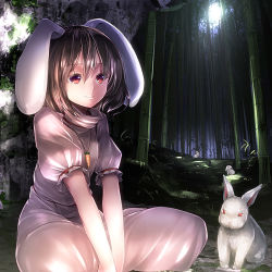Rule 34 | 1girl, animal ears, bamboo, bamboo forest, brown hair, carrot necklace, dress, forest, inaba tewi, jewelry, nature, necklace, pendant, pink dress, rabbit, rabbit ears, red eyes, ryosios, short hair, short sleeves, sitting, smile, solo, touhou