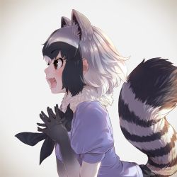 Rule 34 | 1girl, :d, animal ear fluff, animal ears, artist name, black hair, black neckwear, brown eyes, commentary request, common raccoon (kemono friends), elbow gloves, extra ears, fangs, fur collar, gloves, gradient background, gradient gloves, grey hair, kemono friends, leaning forward, looking at viewer, multicolored hair, open mouth, own hands together, profile, puffy short sleeves, puffy sleeves, raccoon ears, raccoon tail, short hair, short sleeves, simple background, smile, solo, striped tail, tail, takami masahiro, twitter username, white hair
