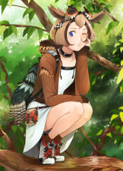 Rule 34 | 1girl, :c, animal ears, backpack, bag, belt, belt pouch, black neckwear, blue eyes, branch, brown hair, brown jacket, brown socks, choker, closed mouth, collarbone, commentary request, day, dress, eyelashes, goggles, goggles on head, hand on own cheek, hand on own face, highres, hood, hoodie, in tree, jacket, leaf, long sleeves, monster girl, multicolored hair, one eye closed, open clothes, open jacket, original, outdoors, owl ears, owl girl, pouch, shirt, shoelaces, shoes, short hair, skirt, skirt set, socks, solo, somehira katsu, squatting, tiptoes, tree, two-tone hair, white dress, white footwear, white shirt, white skirt