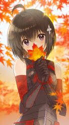 Rule 34 | 1girl, ahoge, armor, autumn, autumn leaves, bare shoulders, black gloves, black hair, blurry, blurry background, blurry foreground, blush, bob cut, bracer, breastplate, breasts, commentary, covering own mouth, depth of field, elbow gloves, gloves, gradient background, hair between eyes, hair ornament, head tilt, highres, holding, holding leaf, itai no wa iya nano de bougyoryoku ni kyokufuri shitai to omoimasu, koin (foxmark), leaf, looking at viewer, maple (bofuri), maple leaf, orange background, outdoors, own hands together, purple eyes, red gloves, short hair, shuriken hair ornament, small breasts, solo, upper body, w arms, white background