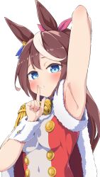 Rule 34 | 1girl, absurdres, alternate costume, animal ears, arm up, armpit focus, armpits, blue eyes, blush, bow, breasts, commentary request, finger to mouth, hair bow, highres, horse ears, horse girl, looking at viewer, ponytail, presenting armpit, rarigo, santa costume, simple background, small breasts, solo, tokai teio (umamusume), umamusume, white background