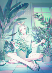 Rule 34 | 1girl, artist name, bow, chromatic aberration, collarbone, dated, foreshortening, frown, full body, green theme, hair bow, indian style, indoors, nail polish, original, pale skin, parted bangs, plant, potted plant, red eyes, unworn sandal, sandals, unworn sandals, short hair, short shorts, shorts, sitting, solo, toenail polish, toenails, window, yamakawa