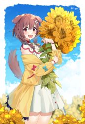 Rule 34 | 14 (vision5032), 1girl, absurdres, animal ears, bone hair ornament, braid, brown eyes, brown hair, day, dog ears, dog girl, dog tail, dress, fangs, flower, hair ornament, highres, holding, holding flower, hololive, inugami korone, inugami korone (1st costume), jacket, leaf, looking at viewer, off shoulder, open mouth, sky, solo, standing, sunflower, tail, virtual youtuber, white dress, yellow jacket