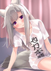 Rule 34 | 1girl, nanashi inc., animal ear fluff, animal ears, animare, blush, hair ornament, hairpin, highres, leaning to the side, long hair, looking at viewer, purple eyes, sch, shiromiya mimi, shirt, short sleeves, silver hair, sitting, solo, sweat, tail, virtual youtuber, wet, wet clothes, wet shirt, white shirt