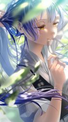 Rule 34 | 1girl, absurdres, adjusting hair, alternate hairstyle, artist name, artist request, blue hair, blush, breasts, close-up, collarbone, female focus, fixing hair, hair between eyes, hair ribbon, hair tie, half-closed eyes, highres, japanese clothes, kimono, long hair, long sleeves, looking at viewer, love live!, love live! school idol festival, love live! school idol project, low ponytail, mouth hold, muneate, nail, nail polish, outdoors, parted lips, pink lips, pink nails, plaid, plaid kimono, playing with own hair, ponytail, purple ribbon, ribbon, short sleeves, smile, solo, sonoda umi, sunlight, upper body, white kimono, yellow eyes