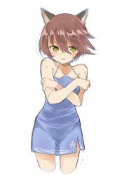 Rule 34 | 1girl, amane rosylily, animal ear fluff, animal ears, bare arms, bare shoulders, blue dress, blush, brown eyes, brown hair, collarbone, commentary request, cropped legs, crossed arms, dress, fox ears, hair between eyes, halterneck, highres, original, parted lips, sekira ame, short dress, simple background, sketch, solo, wet, wet hair, white background