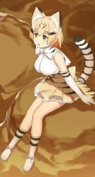 Rule 34 | 10s, 1girl, animal ears, bad id, bad pixiv id, bare shoulders, black hair, blonde hair, bow, bowtie, breasts, cat ears, cat tail, cccpo, elbow gloves, full body, gloves, green eyes, kemono friends, large breasts, looking away, multicolored hair, petticoat, sand cat (kemono friends), shirt, shoes, short hair, sitting, skirt, sleeveless, socks, solo, streaked hair, tail, white bow, white bowtie, white gloves, white shirt, yellow skirt