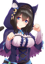 Rule 34 | 1girl, absurdres, animal ear fluff, animal ears, blue bow, blue bowtie, blue eyes, blush, bow, bowtie, brown hair, capelet, cat ears, cat tail, center frills, closed mouth, commentary request, corset, crescent, crescent pin, fake animal ears, frilled capelet, frills, gem, hair between eyes, hairband, hands up, highres, hood, hooded capelet, idolmaster, idolmaster cinderella girls, lipstick, long hair, long sleeves, looking at viewer, makeup, megurumiru, paw pose, pink lips, sagisawa fumika, simple background, smile, solo, tail, upper body, white background