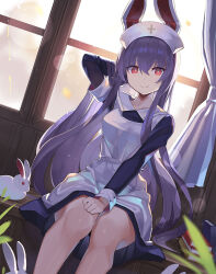 Rule 34 | 1girl, animal ears, arm behind head, black sleeves, book, closed mouth, commentary request, cross, curtains, dress, falken (yutozin), hair between eyes, hat, highres, indoors, light particles, long hair, long sleeves, looking at viewer, nurse, nurse cap, plant, purple hair, rabbit, rabbit ears, red eyes, reisen udongein inaba, revision, smile, solo, touhou, white dress, white hat, window