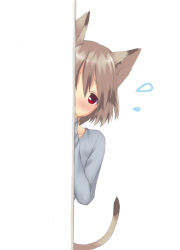 Rule 34 | 1girl, animal ears, blush, brown hair, cat ears, cat tail, highres, looking at viewer, majima yuki, peeking out, red eyes, short hair, simple background, solo, tail, white background