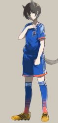 Rule 34 | 1girl, 2014 fifa world cup, animal ears, bad id, bad pixiv id, character request, cleats, japan, shirono kuma, short hair, shorts, soccer uniform, socks, solo, sportswear, strike witches, tail, wakamoto tetsuko, world cup, world witches series