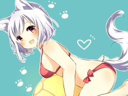 Rule 34 | 1girl, :d, animal ears, bad id, bad pixiv id, bikini, blue background, blush, bow, breasts, brown eyes, fang, from side, halterneck, heart, inubashiri momiji, karasusou nano, looking at viewer, medium breasts, open mouth, paw print, red bikini, red bow, short hair, smile, solo, swimsuit, tail, touhou, white hair, wolf ears, wolf tail