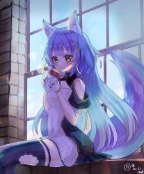 Rule 34 | .live, animal ears, bad id, bad twitter id, breasts, commentary request, fingerless gloves, food, gloves, hair between eyes, hair ornament, holding, holding food, long hair, looking at viewer, purple hair, rurun rururica, sai (mayuemon817), sitting, small breasts, solo, sweet potato, tail, thighhighs, twitter username, virtual youtuber, white gloves, window, wolf ears, wolf tail