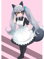 Rule 34 | 1girl, alternate costume, animal ears, apron, aramaru, black dress, black pantyhose, brown eyes, commentary request, dress, enmaided, fox ears, fox tail, full body, grey hair, hair ribbon, hand in own hair, highres, kemono friends, long hair, looking at viewer, maid, maid apron, maid headdress, medium dress, open mouth, pantyhose, pink background, puffy short sleeves, puffy sleeves, ribbon, short sleeves, silver fox (kemono friends), skirt hold, smile, solo, standing, sweatdrop, tail, twintails, very long hair