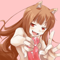 Rule 34 | animal ears, blush, flick, handjob, holo, penis, smile, spice and wolf, tail