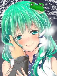 Rule 34 | 1girl, bare shoulders, blush, breasts, closed mouth, frog hair ornament, green eyes, green hair, hair ornament, hair tubes, hand on another&#039;s cheek, hand on another&#039;s face, head tilt, hetero, ifuji sakura, kochiya sanae, large breasts, long hair, looking at viewer, pov, pov hands, sleeveless, smile, snake hair ornament, solo focus, touhou, upper body