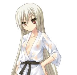 Rule 34 | 1girl, blonde hair, breasts, collarbone, hand on own hip, japanese clothes, long hair, looking at viewer, nipples, see-through, small breasts, solo, standing, transparent background, very long hair